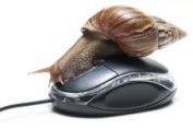 un escargot sur une souris d'ordinateur