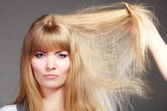 Shampoings cheveux secs