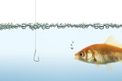 poisson et hameçon