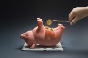 opération d'un cochon tirelire