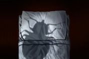 ombre d'une punaise de lit sur un oreiller