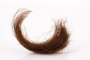 Une mèche de cheveux