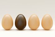 Trois oeufs blancs et un noir