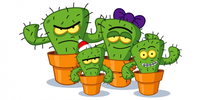 les cactus des consommateurs mécontents