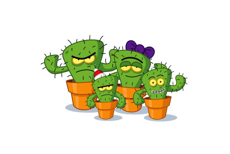 les cactus des consommateurs mécontents