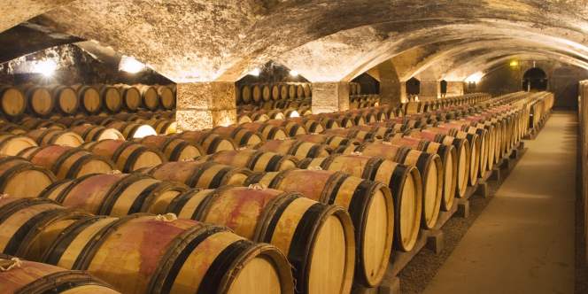 des tonneaux de vin dans une cave