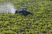 Un tracteur déverse des pesticides dans une vigne