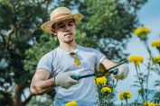 Un homme fait du jardinage