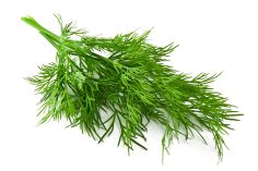 Sachet d'aneth Florette