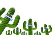 des cactus mécontents