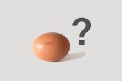 questions sur les œufs