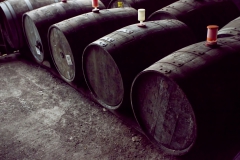 Fûts de cidre dans une cave