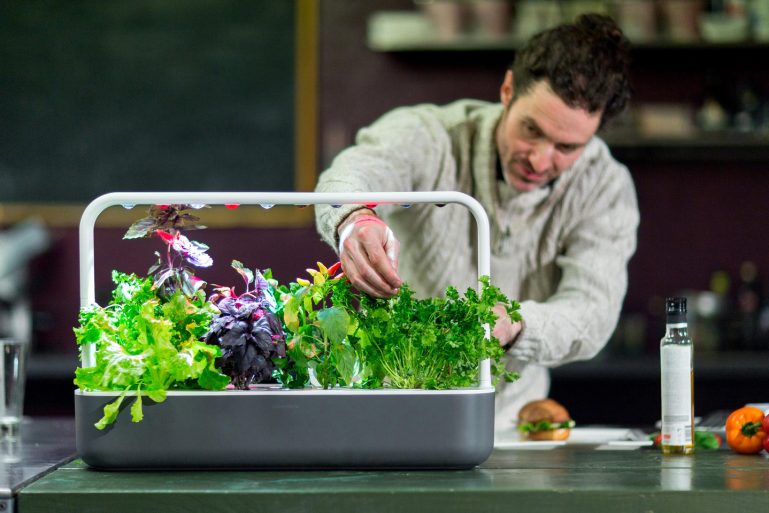 mini-potager dans une cuisine