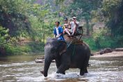 Touristes qui font une balade à dos d'éléphant