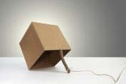 Une boîte en carton transformée en piège