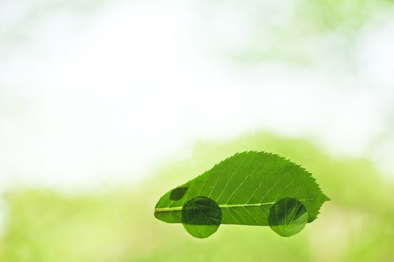 feuille verte en forme de voiture