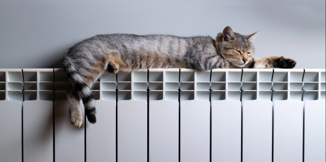 Chat allongé sur un radiateur électrique