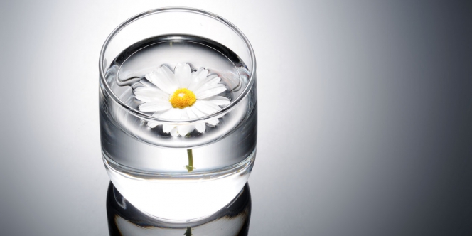 une fleur dans un verre d’eau ou d’alcool blanc