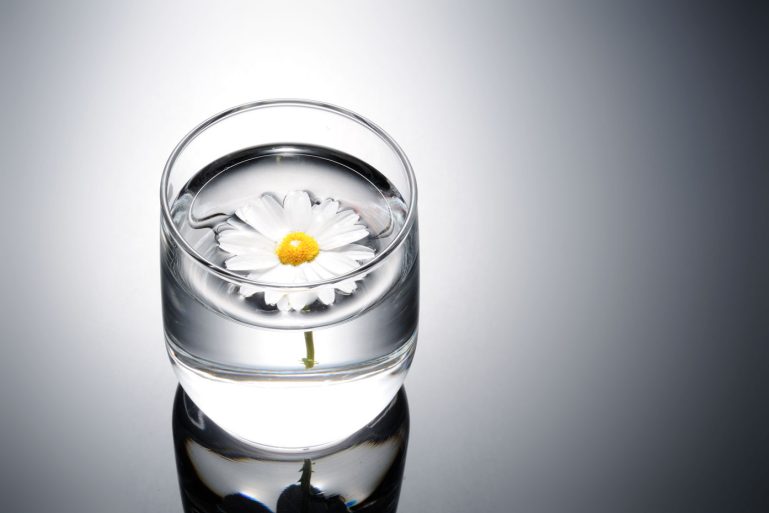 une fleur dans un verre d’eau ou d’alcool blanc