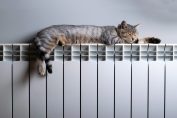 Un chat allongé sur un radiateur électrique