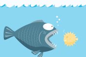 petit poisson se défendant face à un gros poisson