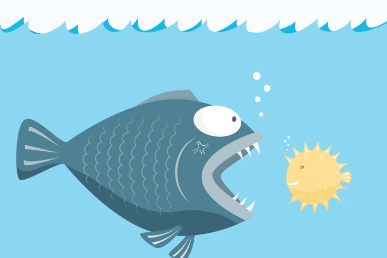 petit poisson se défendant face à un gros poisson