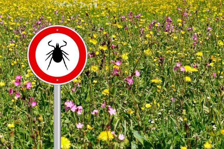 un panneau “danger tiques” devant une prairie fleurie en été