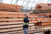préparation de bois dans une scierie