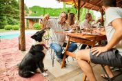 repas amical dans un jardin au bord d’une piscine