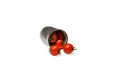 tomates et boîte de conserve