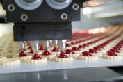 fabrication de biscuits industriels