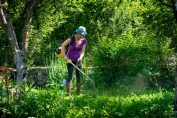 entretien d’un jardin