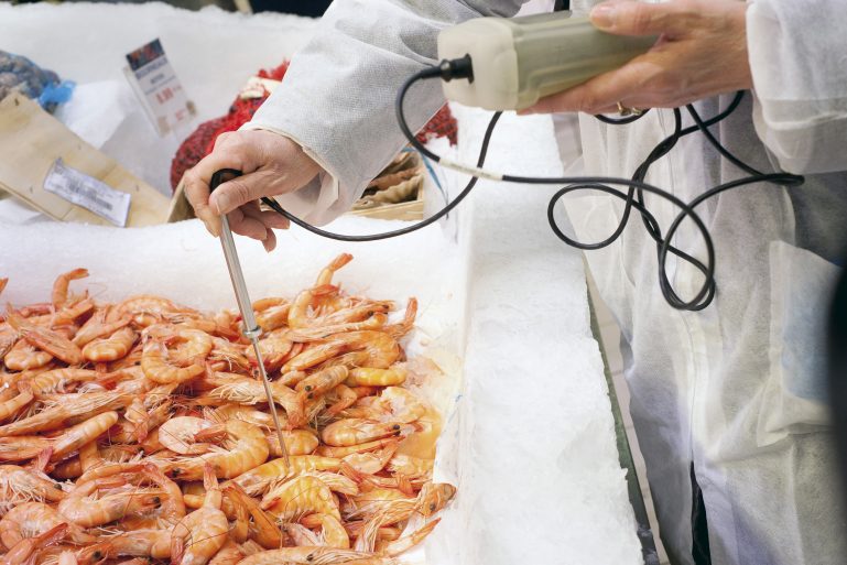 Analyse de crevettes