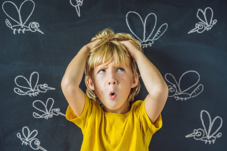 un enfant avec des piqûres de moustique sur le siage devant un tableau noir où sont dessinés des moustiques à la craie