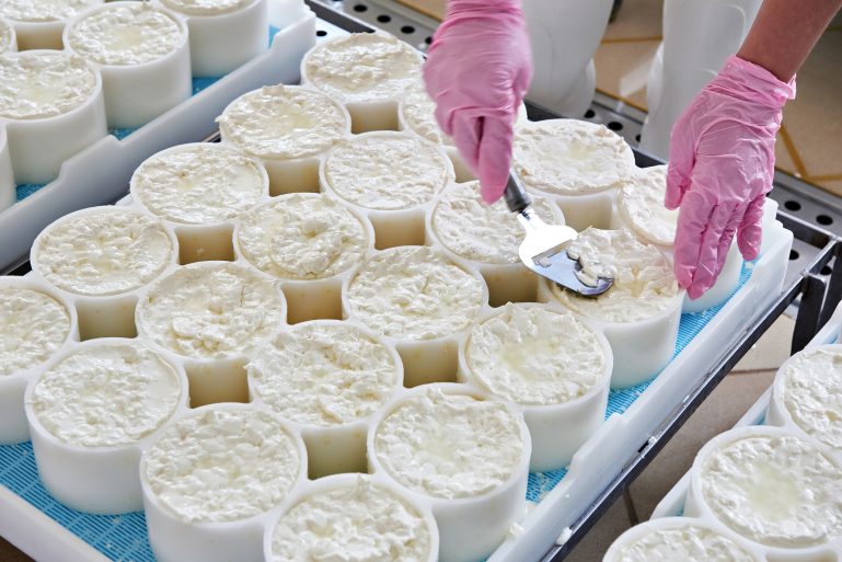 Mains gantées égalisant des faisselles de fromage blanc