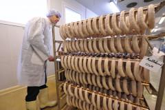 Rangée de saucisses examinées par un inspecteur