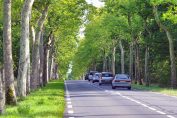 Voitures sur une route de campagne