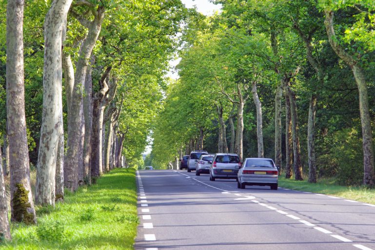 Voitures sur une route de campagne