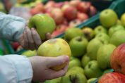 des pommes touchées dans les mains d'un consommateur