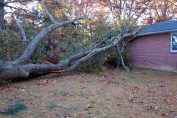 Un arbre tombé sur le toit d'une maison