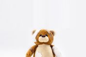 Un ours en peluche avec un pansement sur le front