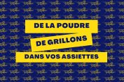 De la poudre de grillons dans vos assiettes ?