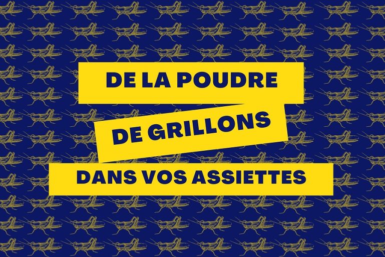 De la poudre de grillons dans vos assiettes ?
