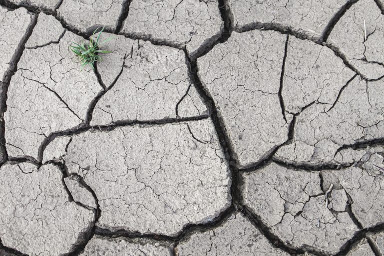 De la terre craquelée en raison de la sécheresse. 