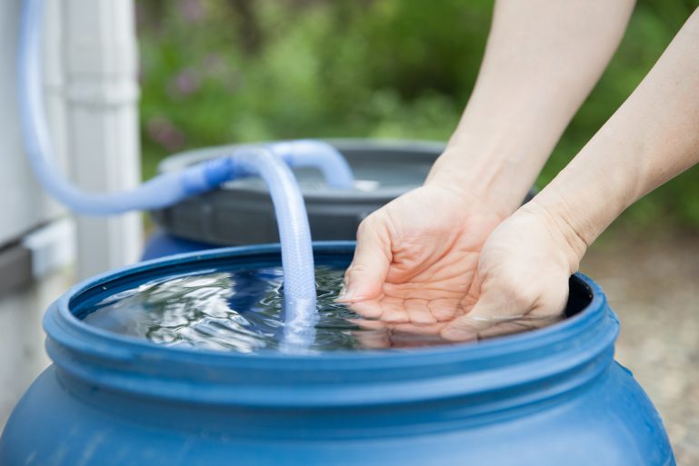 Un homme plonge ses mains dans un récupérateur d'eau