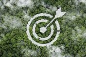 Cible sur environnement vert