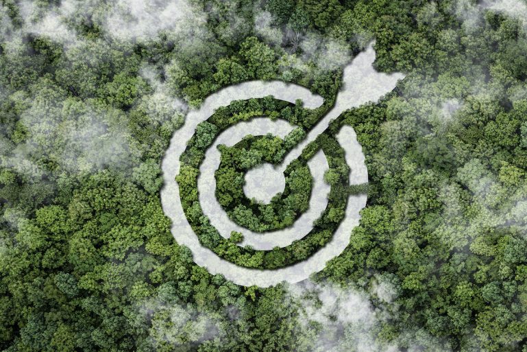 Cible sur environnement vert