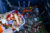 Un bac à compost collectif