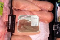 Filets de poulet Intermarché