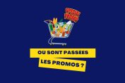 panneau_video